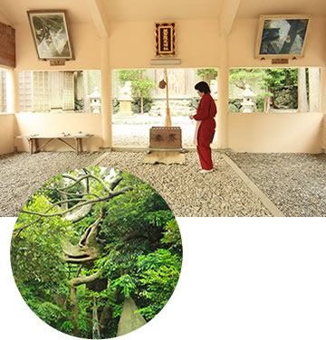 美多羅志神社・龍神さん